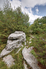 Griechenland - Pindosgebirge - Steinwald bei Monodendri
