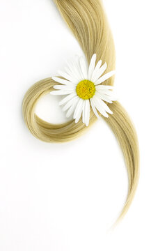 Lock Of Blonde Wavy Hair With Chamomile Flower On White Background, Top View. Piece Of Blonde Hair On White Background.