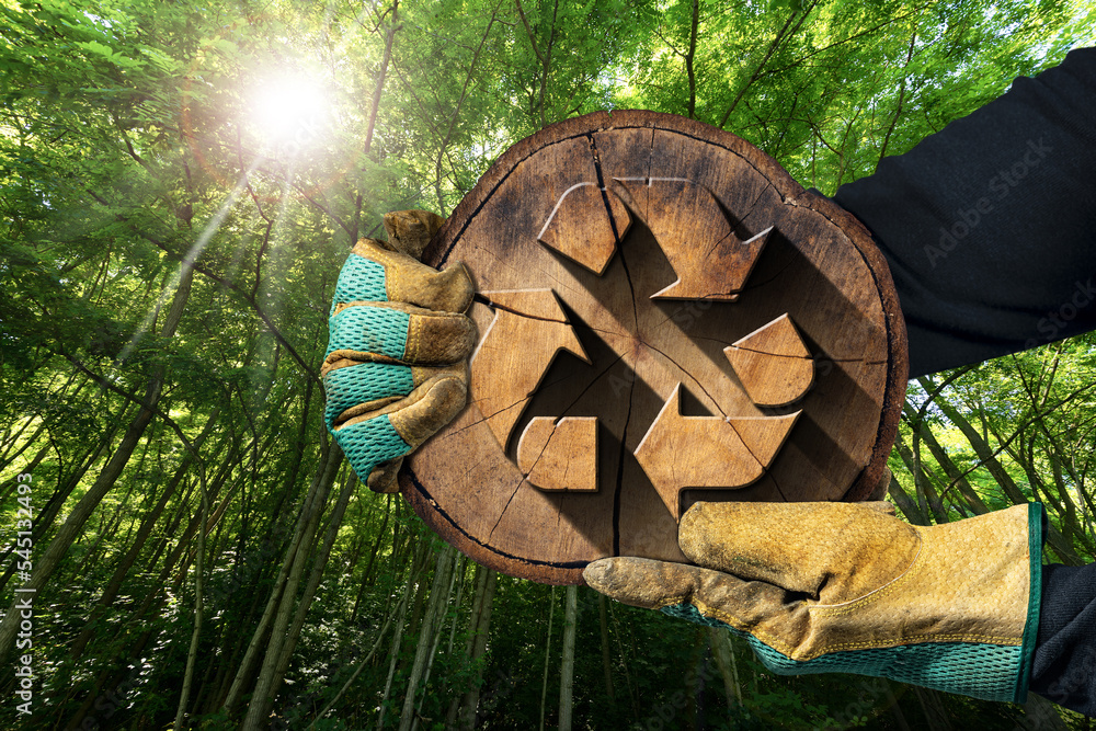 Poster gloved hands holding a cross section of a tree trunk with a wooden recycle symbol with a green fores