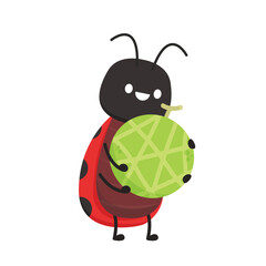 Ladybug vector. Ladybug on white background. wallpaper. melon vector.