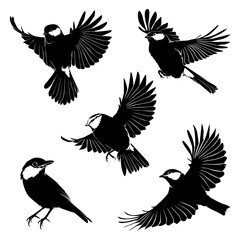  Flying bird continuous line drawing element isolated on white background for decorative element. Vector illustration of animal form in trendy outline style.