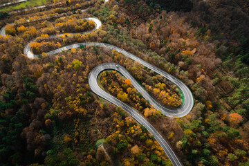 Winding road surounded by autumn forest in Poland