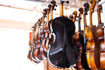 Many violins are hanging in a row in a store