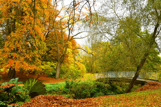 Autumn nature landscape. A bridge in the park. Romantic view image scene. 