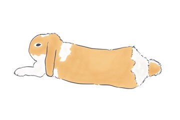 リラックスして寝転ぶリアルなかわいいうさぎ