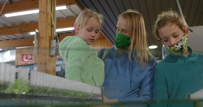 Mother with kids looking at aquarium plants in the shop