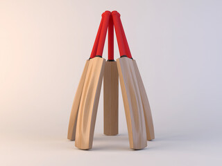 Cricket Bat Circle Dislay