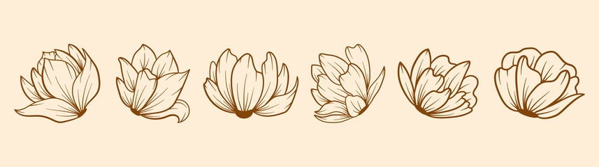 Set of vector silhouettes of bright tropical  flowers. Isolated on a white background. Drawing sketches of leaves. Silhouettes of tropical flowers. Tropical exotic flowers. Flower collection set.
