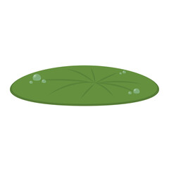 Drop of water on Lily pad. Lily pad vector. wallpaper. free space for text.