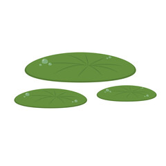 Drop of water on Lily pad. Lily pad vector. wallpaper. free space for text. © Supakorn