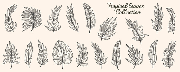 Set of vector silhouettes of bright tropical leaves. Isolated on a white background. Drawing sketches of leaves. Silhouettes of tropical leaves. Tropical palm leaves. © EltaMax99