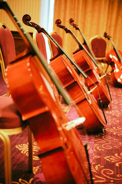 Row of cellos in a room