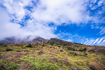 한라산의 구름들의 춤사위