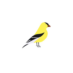 samyong bird vector design illustration