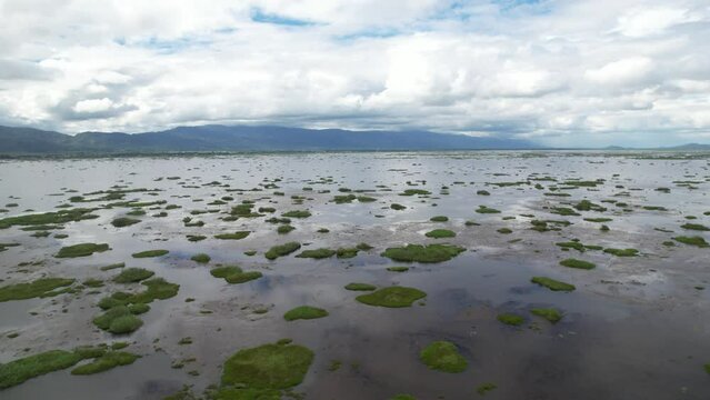 Aerial Shot Of Loktak Lake Swamp In Imphal, Manipur