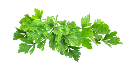 Parsley isolated on transparent png