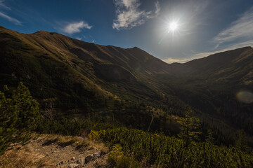 landscape in the morning