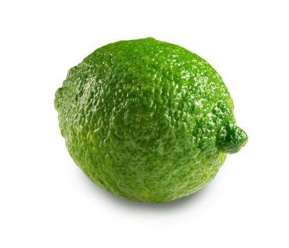 green lime isolated on white. the entire image in sharpness.