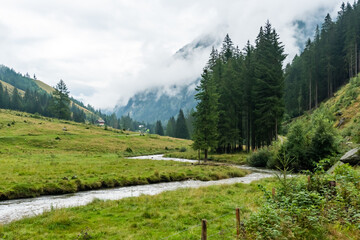 Wandern in den österreichischen Alpen bei Regen. Typische Schlechtwetter Regenstimmung im...