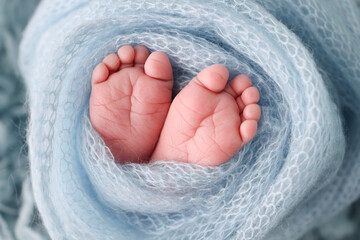 Soft feet of a newborn in a blue woolen blanket. Close-up of toes, heels and feet of a newborn baby.The tiny foot of a newborn. Studio Macro photography. Baby feet covered with isolated background. 