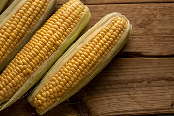 Tres mazorcas de maíz (Zea mays) sobre fondo de madera rústica. Vista cenital