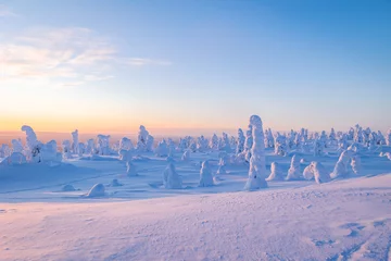 Fototapete Rund winter landscape with snow cowered trees © Artem