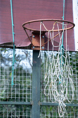 Old basketball hoop in the yard
