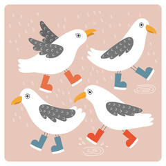 seagulls in gumboots