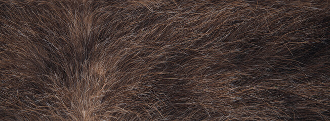 close up photo of dark drown fur texture background	
