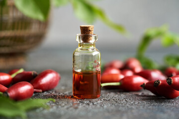 Red rosehip seed oil with fresh rose hips in autumn
