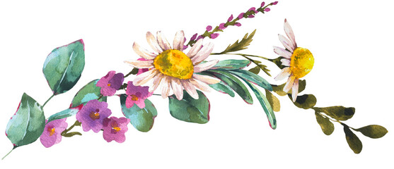 Watercolor wildflowers transparent PNG
