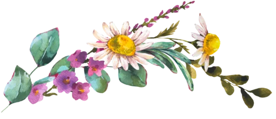 Watercolor wildflowers transparent PNG © depiano