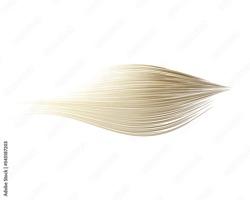Poster abstract art gold gradient brush stroke curve isolated on transparent background for design elements