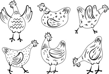 Fototapeta na wymiar Set of hand-drawn hen. Chicken illustration domestic birds.