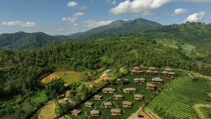 Aerial view resort in green tea plantation on the hill at Ban Rak Thai village, chinese style hotel...