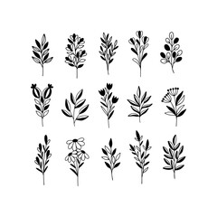 Hand drawn floral vector set of wildflower, herb, branch. Black leaf, flower silhouette isolated on white background. Garden botanical illustration for herbal print, wedding card, invitation.
