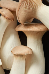 King Oyster mushrooms or Eringi in a bowl and Dried white mushrooms on a dark background. Flat lay.