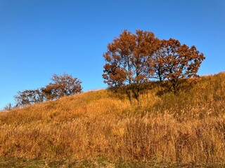 The Aso area is home to the world’s biggest inhabited volcanic caldera, known as Mount Aso.  It’s also Japan’s largest grassland area and home to some gorgeous scenery.