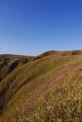 The Aso area is home to the world’s biggest inhabited volcanic caldera, known as Mount Aso.  It’s also Japan’s largest grassland area and home to some gorgeous scenery.