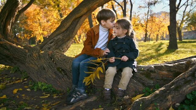 Happy family in an autumn park. Brother kisses his sister and hugs her sitting on a tree trunk, yellowed trees around. Slow motion