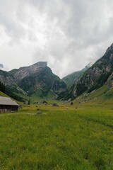 Fototapeta na wymiar Valley with animals and cottages surrounded by mountains