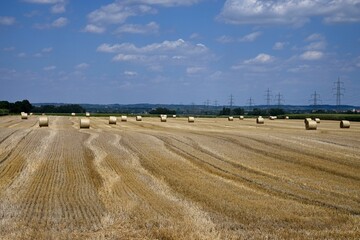 Haystack field surrounded by transmission towers and trees