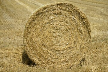Closeup of a round bundle in a haystack field