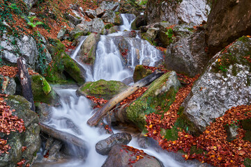 Fototapeta na wymiar Autumnal landscape with waterfall in the mountains