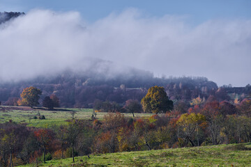 Misty autumnal landscape