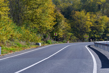 Road through colorful forest