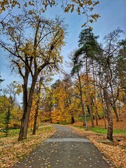 Autumn in the park