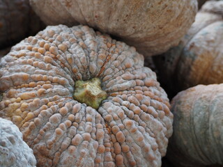 pumpkin on a market stall
