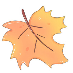 maple leaf on transparent background 