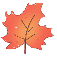 maple leaf on a transparent background